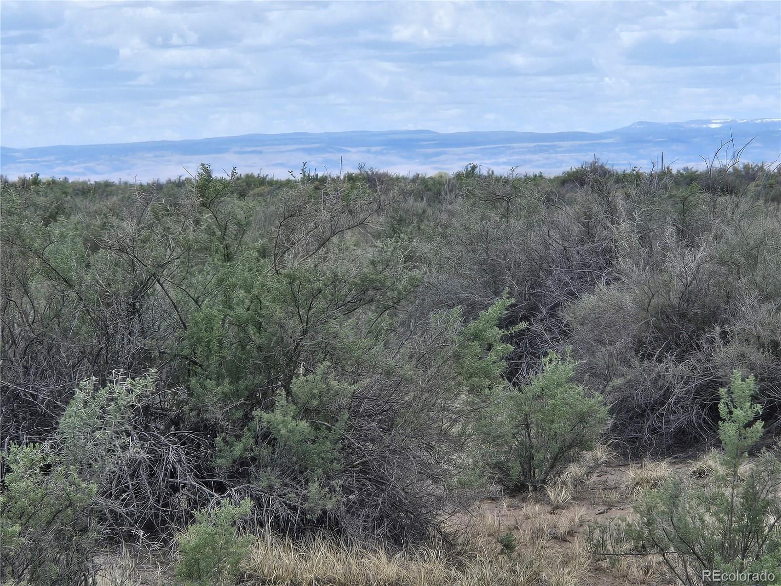 103 South County Road Alamosa, CO 81101 - Photo 17 of 18