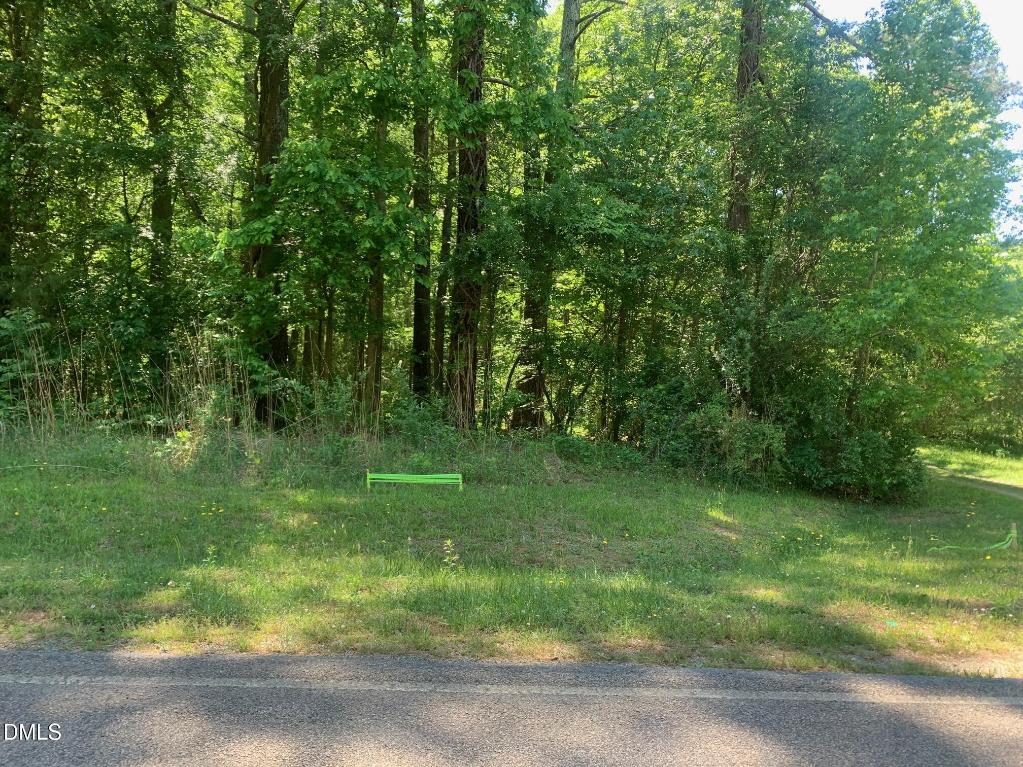 0 Rives Chapel Church Road Siler City, NC 27344 - Photo 4 of 21