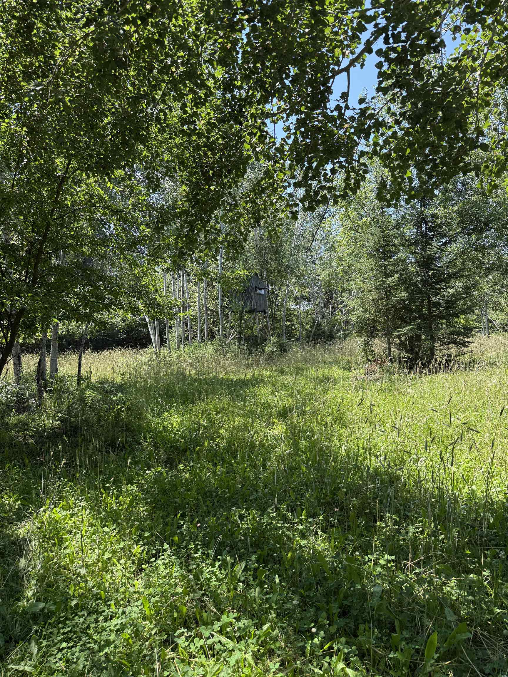 Red Hickory Road Eland, WI 54427 - Photo 19 of 28