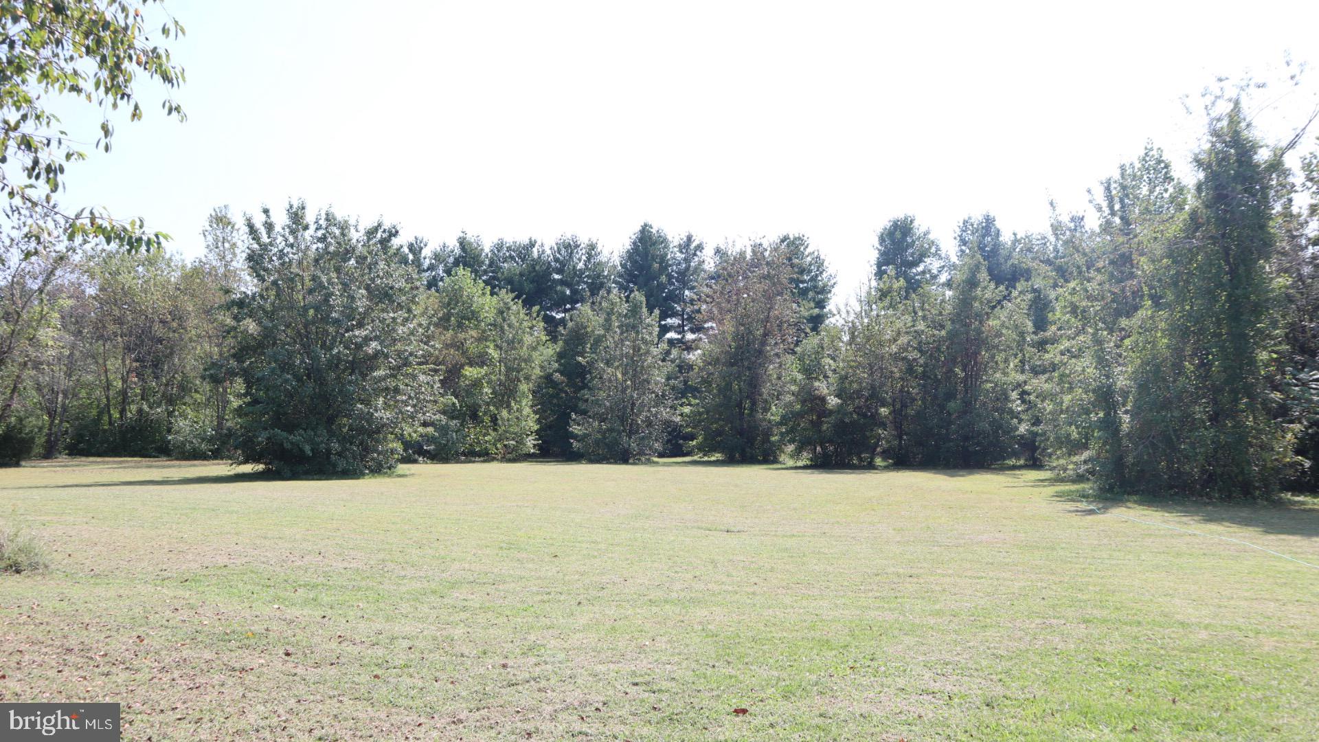 2010 McGinnes Road Chestertown, MD 21620 - Photo 18 of 19 a view of outdoor space with trees