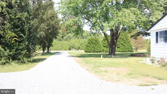 a view of yard with tree