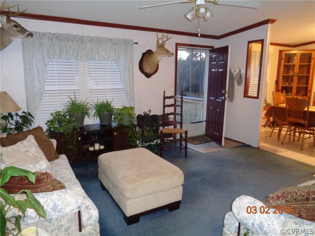 8612 Old Pine Road Ford, VA 23850 - Photo 23 of 27 a living room with furniture and a large window