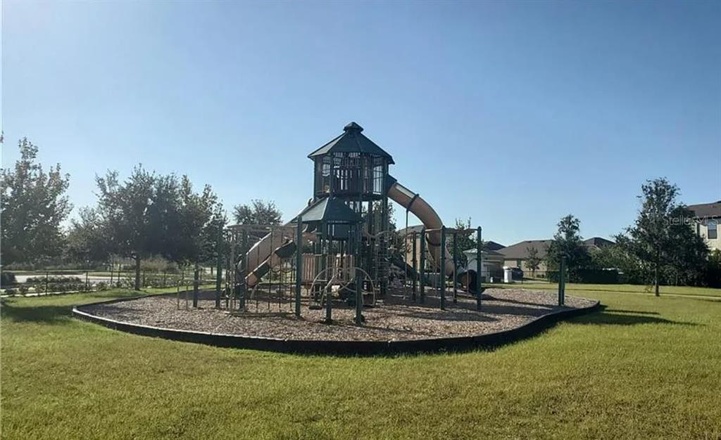 1049 Multiflora Loop Lutz, FL 33558 - Photo 44 of 49 a view of a house with a swimming pool