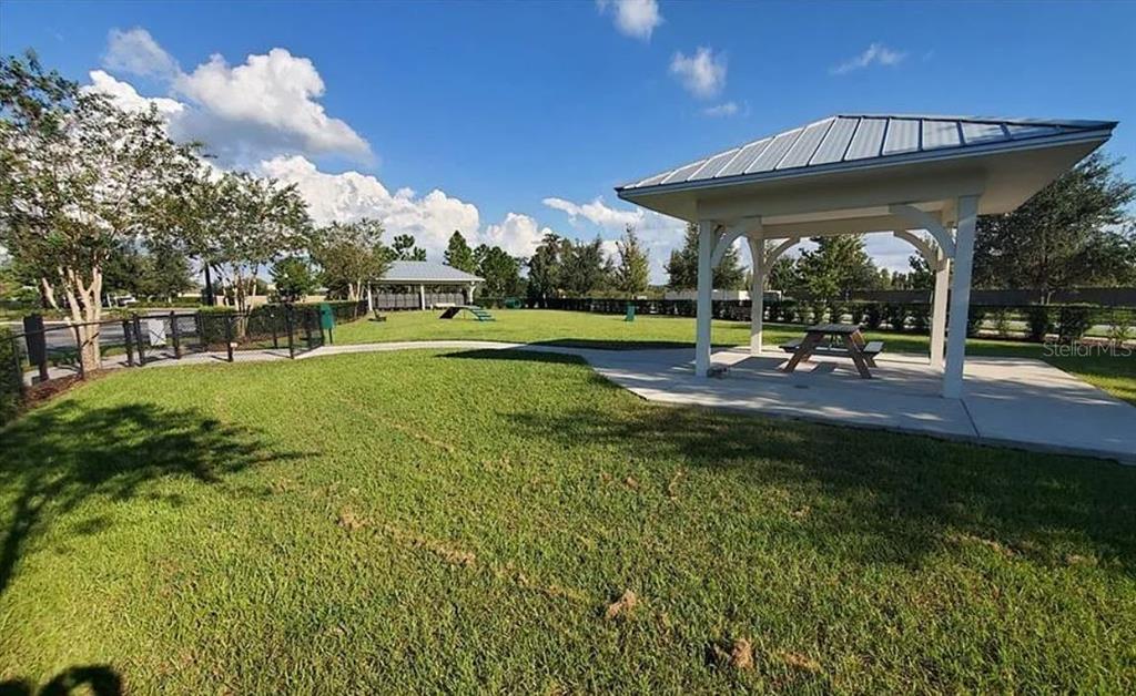 1049 Multiflora Loop Lutz, FL 33558 - Photo 45 of 49 a view of a house with a yard patio and sitting area