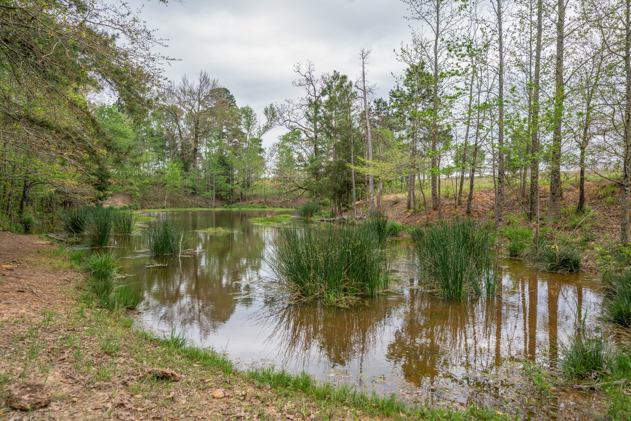 155 Ore City Tx 75683 Tyler, TX 75708 - Photo 41 of 50