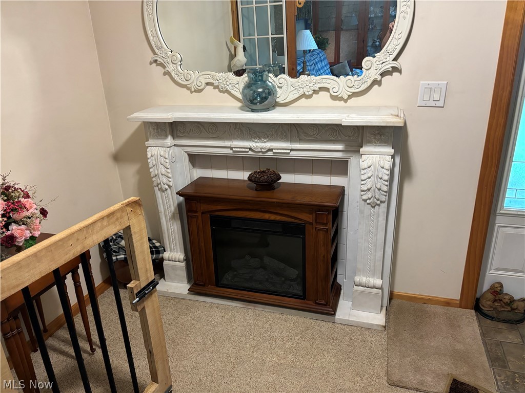 2417 Mc Adoo Ridge Road Wellsburg, WV 26070 - Photo 8 of 33 Details with carpet