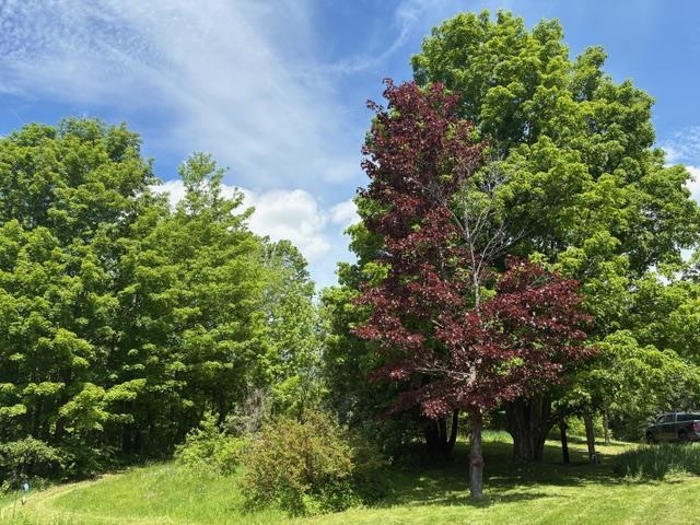 357 Parker Road Carroll, NH 03598 - Photo 12 of 18