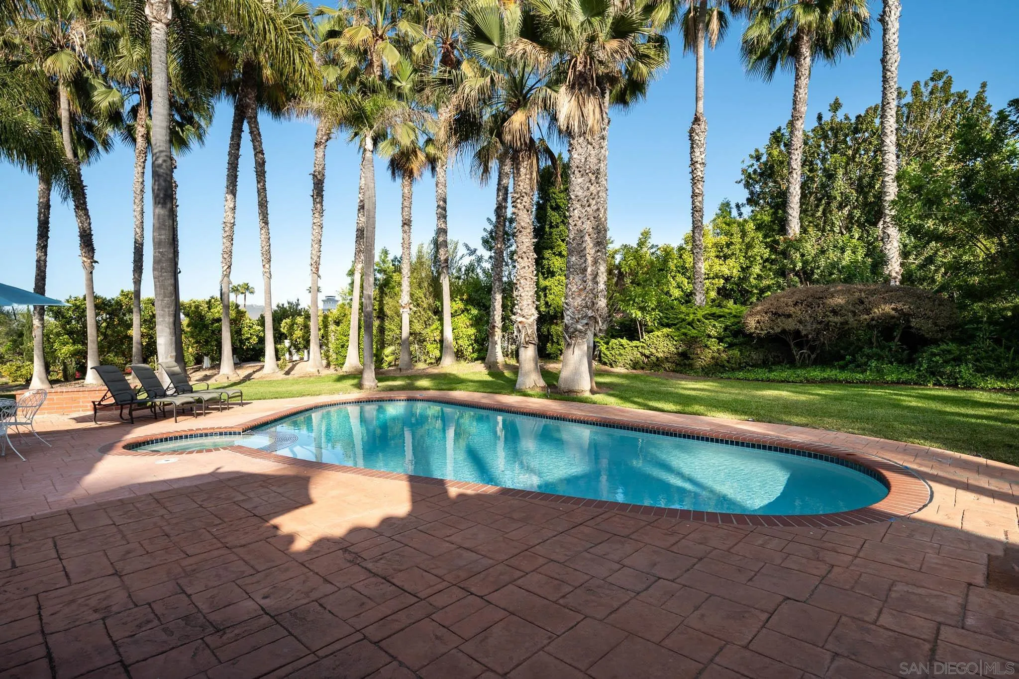 18221 Via Ascenso Rancho Santa Fe, CA 92067 - Photo 25 of 37 a view of swimming pool with a lawn chairs and palm trees