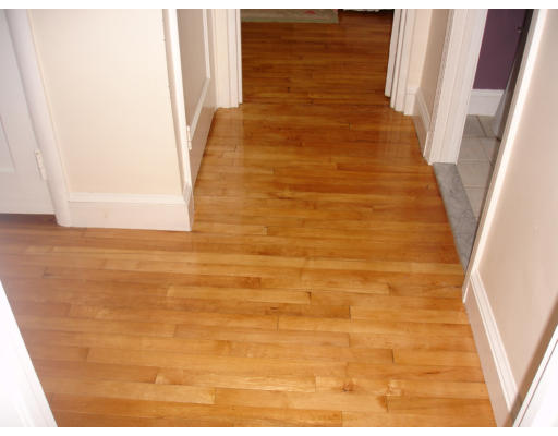 153 Codman Road Norwood, MA 02062 - Photo 20 of 20 Gallery Image 20