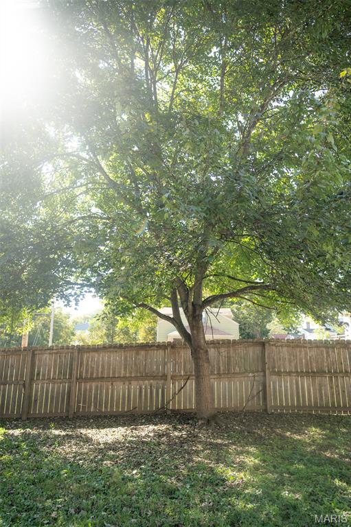 694 Market Street Ste. Genevieve, MO 63670 - Photo 20 of 28