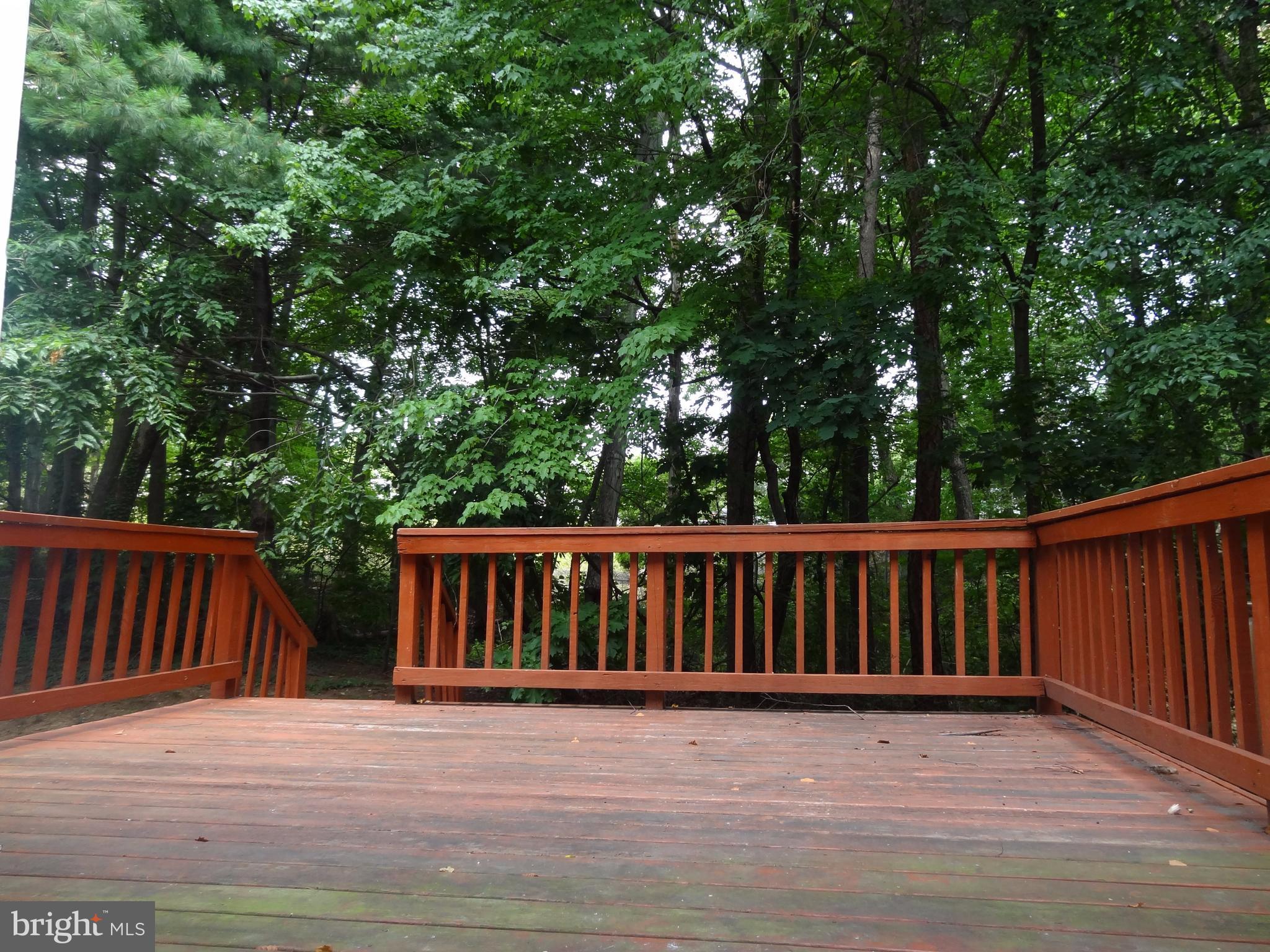 1136 Ingate Road Halethorpe, MD 21227 - Photo 29 of 30 Exterior (Rear)