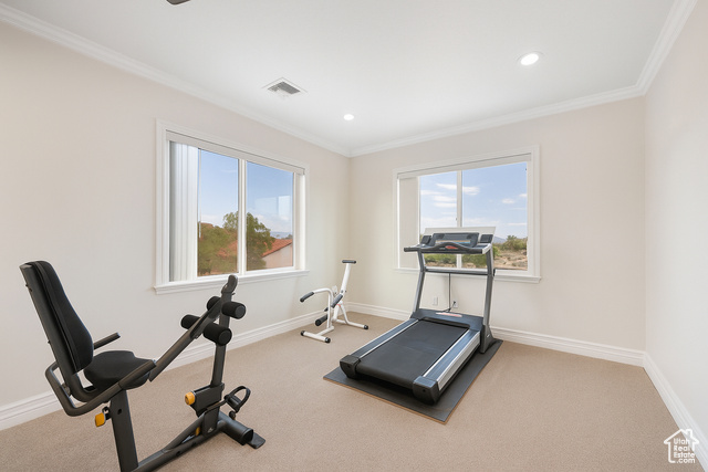 230 Boulder Way Leeds, UT 84746 - Photo 25 of 72 5th Bedroom (or exercise / game room ) featuring built-in bookcase, ornamental molding, access to exterior, light carpet, recessed lighting, and a ceiling fan