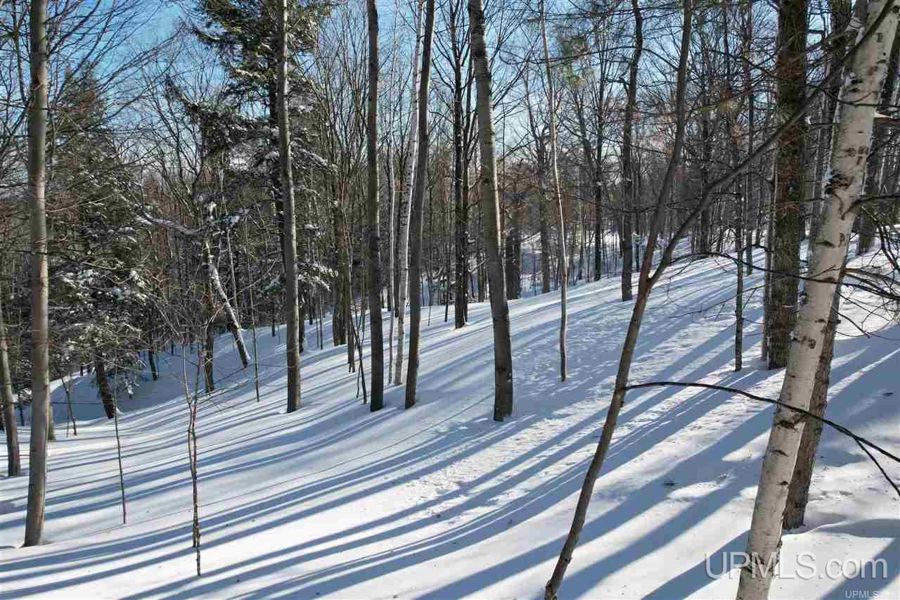 151 Neejee Road Negaunee, MI 49866 - Photo 40 of 50 Gallery Image 40
