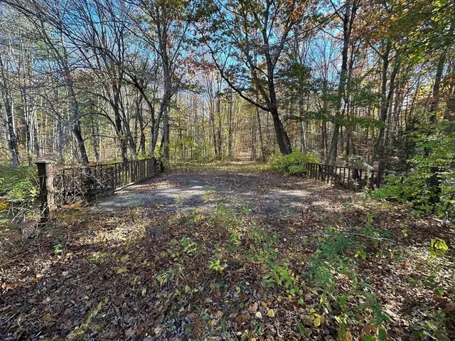 a view of backyard with green space