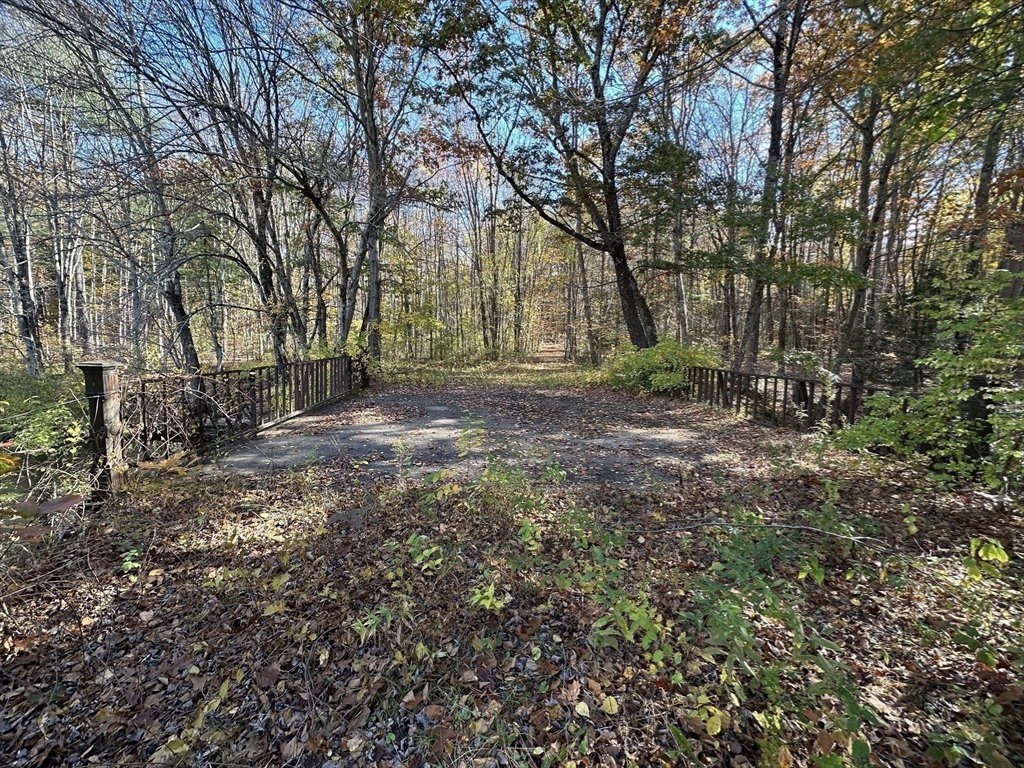 12 R Jackielyn Circle Granby, MA 01033 - Photo 12 of 23 a view of a tree in the middle of a yard