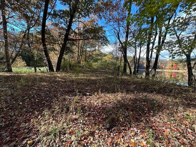 a view of a lake from a yard
