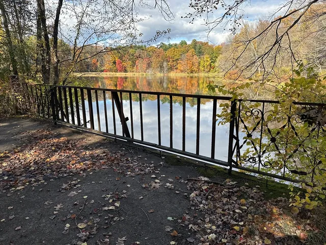 a view of backyard with green space