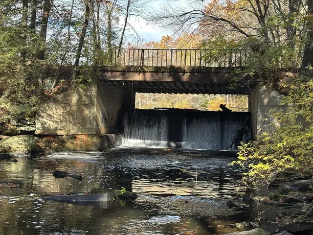 a view of a lake from a yard