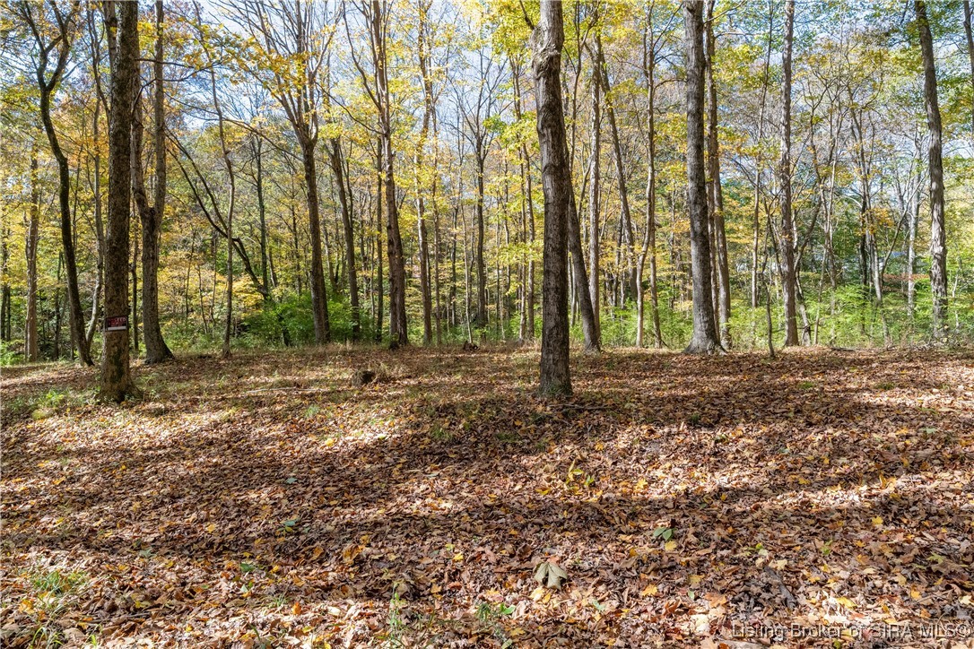 2113 South Getty Road Lexington, IN 47138 - Photo 13 of 17 Gallery Image 13