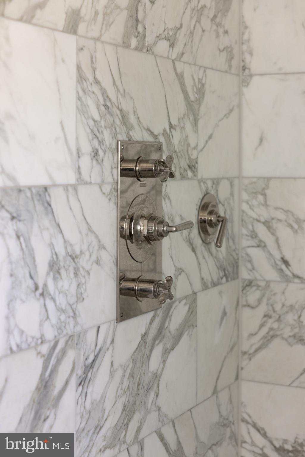 1704 Russell Road Alexandria, VA 22302 - Photo 35 of 44 Waterworks Polish Nickel Plumbing Fixtures