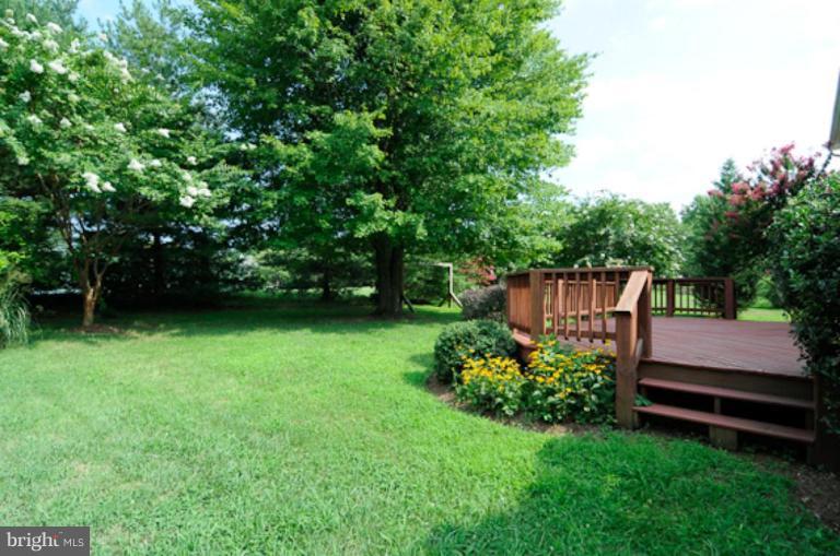 312 Canterfield Road Annapolis, MD 21403 - Photo 18 of 24 Back yard