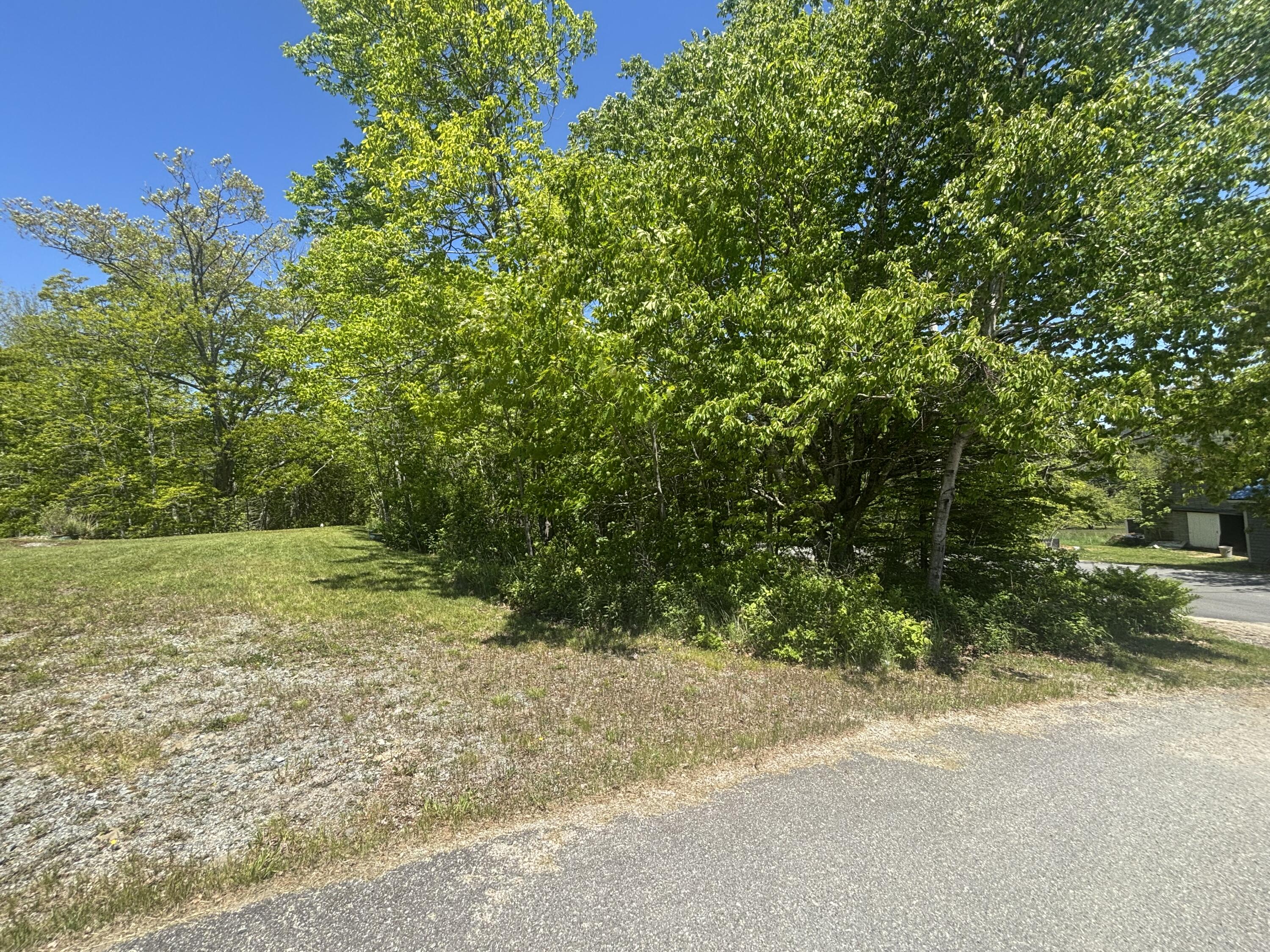 954 Cape Rosier Road Brooksville, ME 04642 - Photo 2 of 7