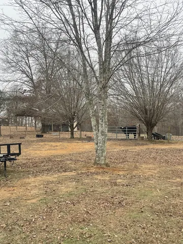 $559,900 | 4161 Shady Oak Lane, Iron City, TN 38463