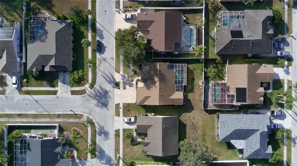 4809 Deer Lodge Road New Port Richey, FL 34655 - Photo 4 of 31