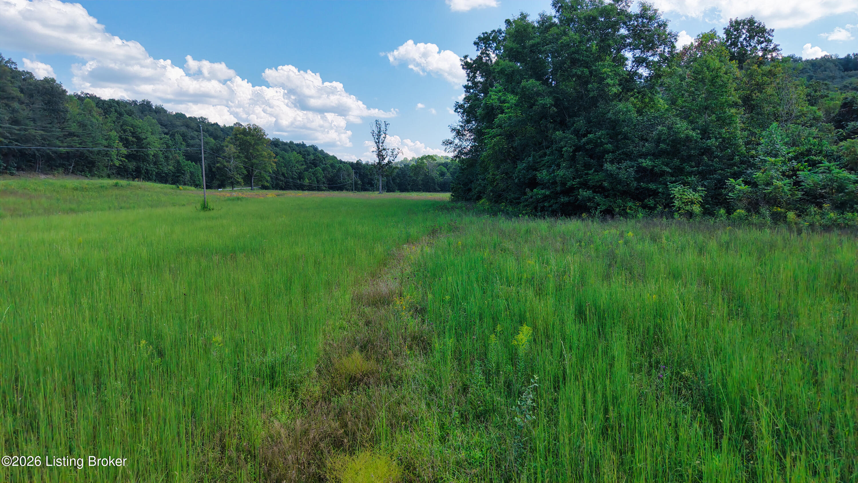 1 Dry Creek Road Columbia, KY 42728 - Photo 4 of 17 DJI_20260903133806_0018_D