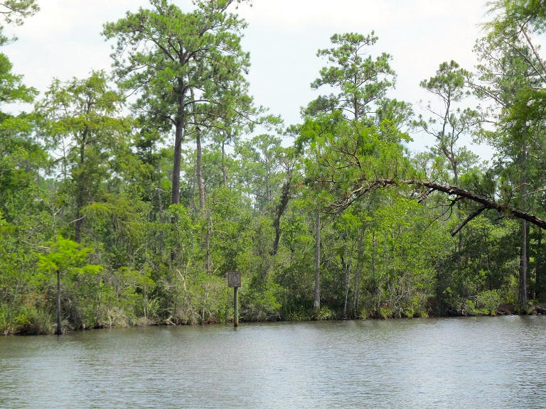 Lot #1 Portland Park Road Freeport, FL 32439 - Photo 1 of 7 2015-07-17 14