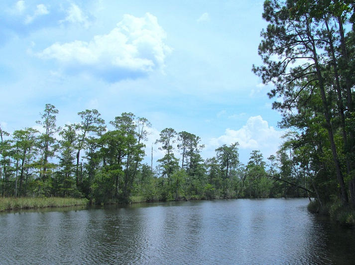Lot #1 Portland Park Road Freeport, FL 32439 - Photo 3 of 7 2015-07-17 14
