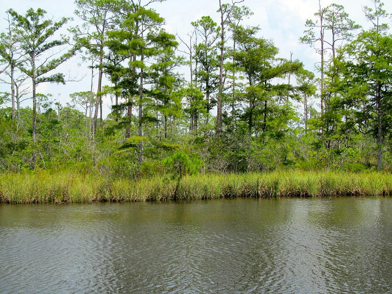 Lot #1 Portland Park Road Freeport, FL 32439 - Photo 6 of 7 2015-07-17 14
