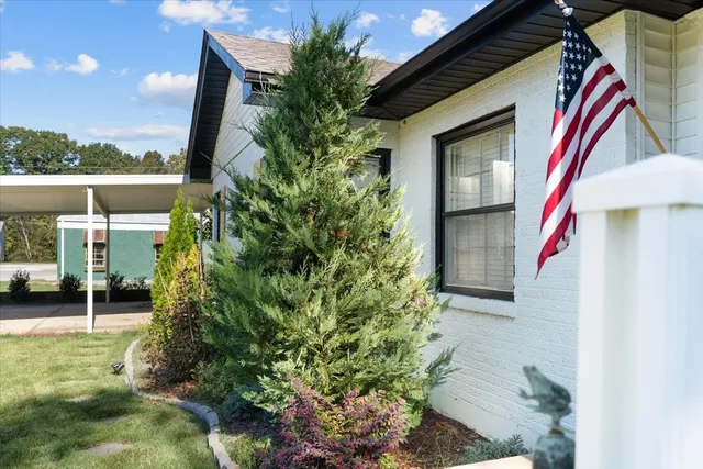 a backyard of a house with a garden and plants