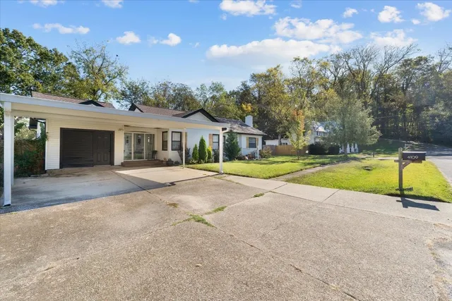 a view of a garden with potted plants