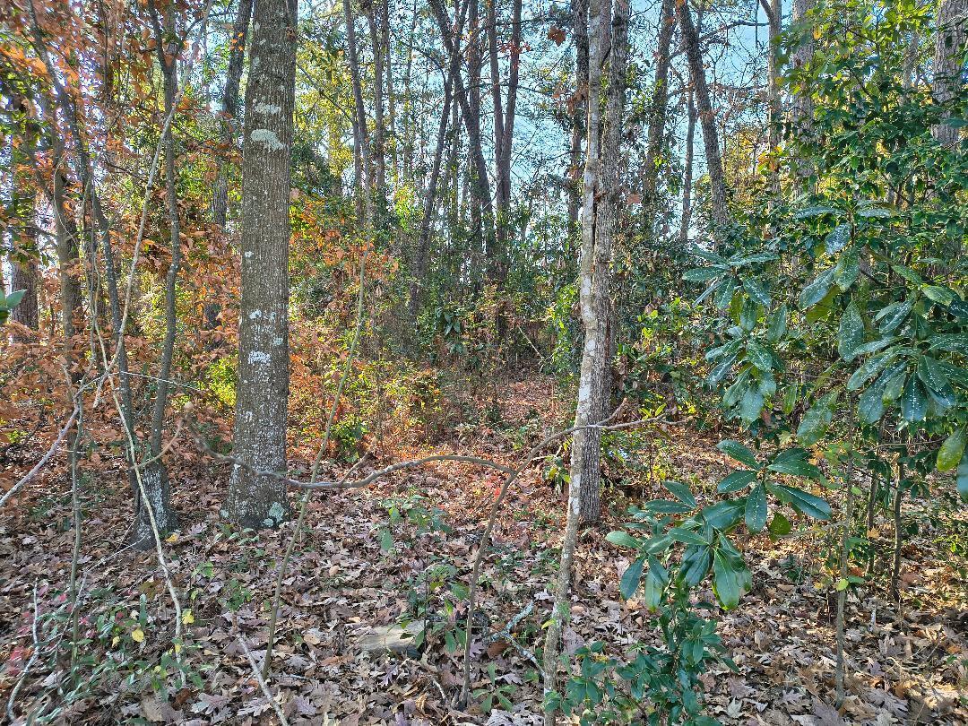 0 Pointer Lane Summerville, SC 29485 - Photo 2 of 2 pointer drive sign