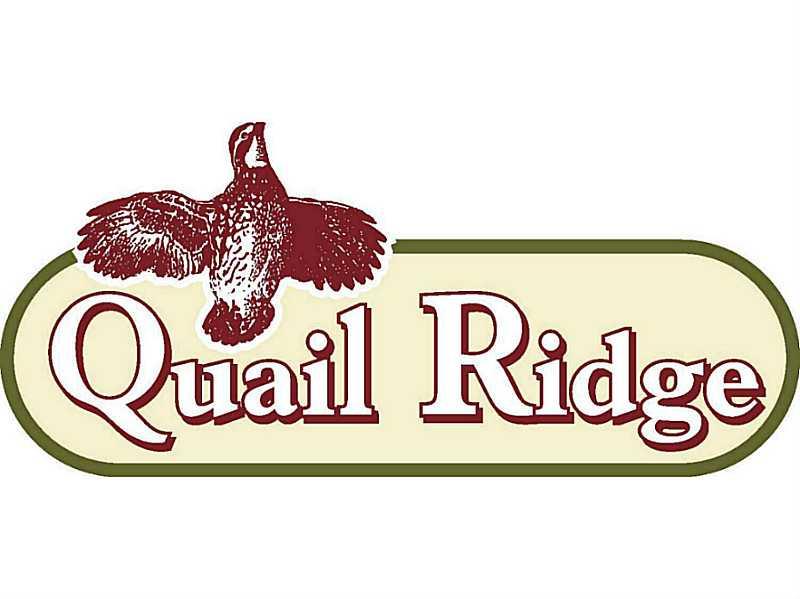 0 Quail Ridge Drive Cleveland, GA 30528 - Photo 1 of 1 Other.
