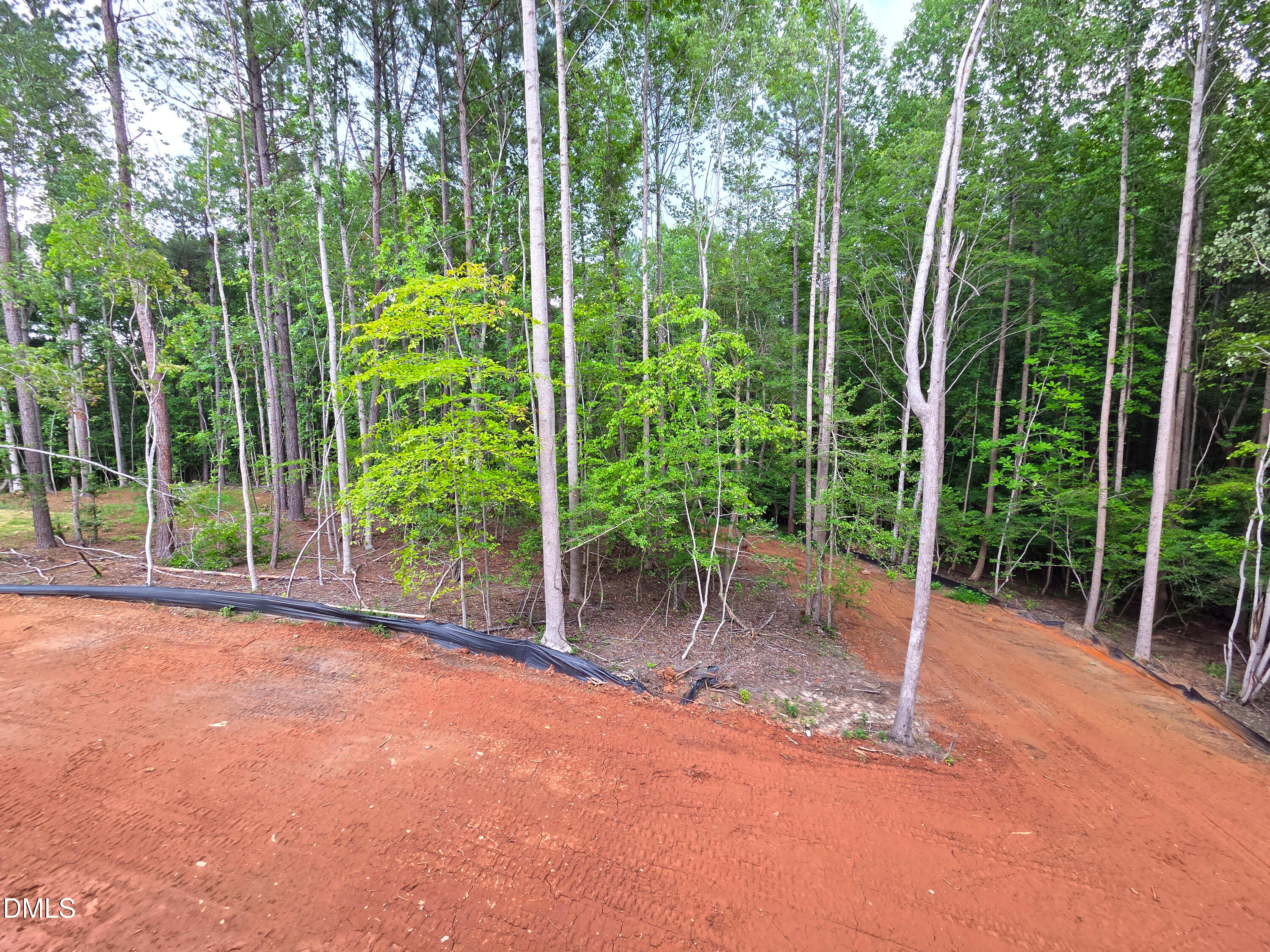 404 Shinleaf Pond Trail Raleigh, NC 27614 - Photo 55 of 65 20260719_131732