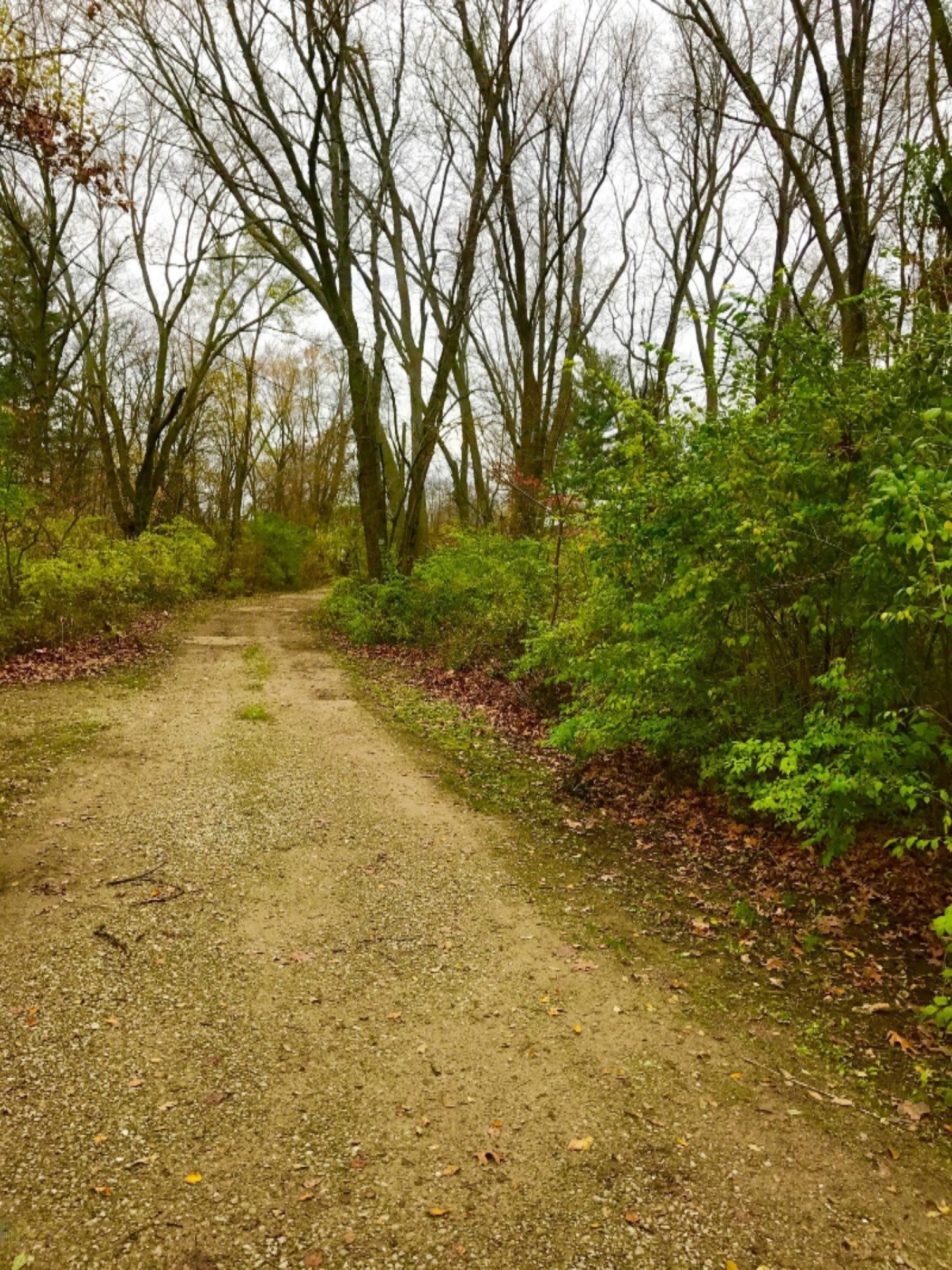 2020 Bell Road Niles, MI 49120 - Photo 26 of 26 Drive/Wooded Front