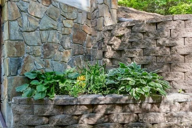 a plants with wooden fence