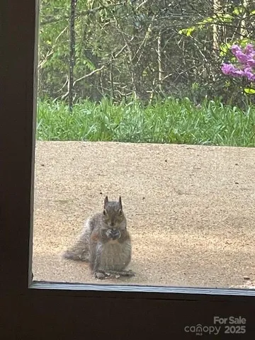 a view of a garden with a house