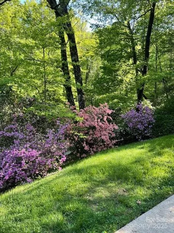 a view of a garden with plants