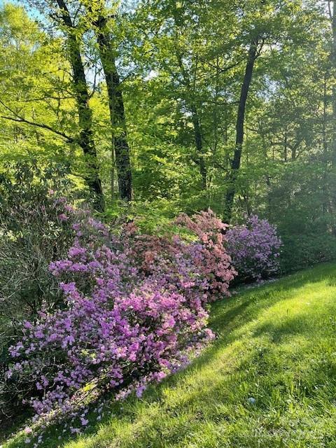 167 Simmons Ridge Road Spruce Pine, NC 28777 - Photo 37 of 44 a view of a garden with a house