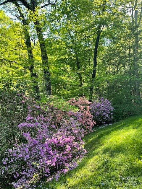 167 Simmons Ridge Road Spruce Pine, NC 28777 - Photo 38 of 44 a view of a garden with plants