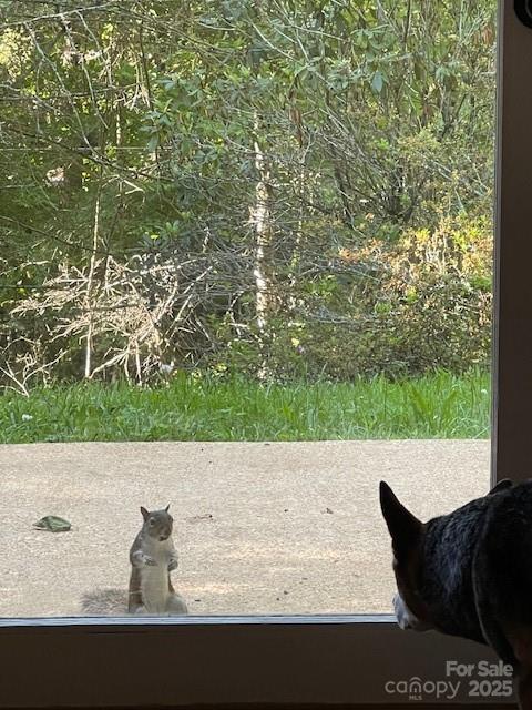 167 Simmons Ridge Road Spruce Pine, NC 28777 - Photo 39 of 44