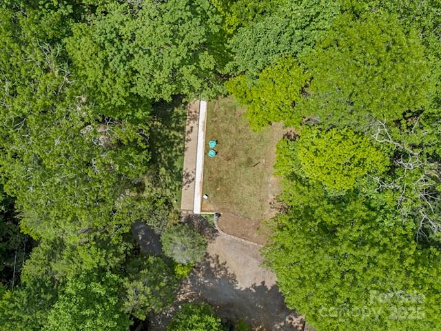 167 Simmons Ridge Road Spruce Pine, NC 28777 - Photo 43 of 44 a picture of a tree