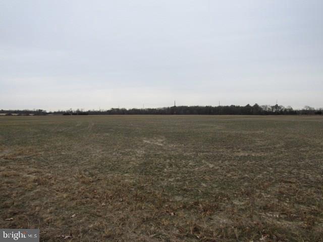 0 Oneals Road Seaford, DE 19973 - Photo 4 of 10 Gallery Image 4