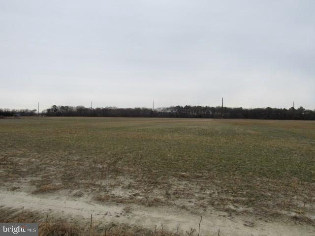 0 Oneals Road Seaford, DE 19973 - Photo 8 of 10 Gallery Image 8