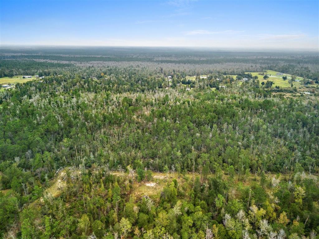0 Woods Road Vinton, LA 70668 - Photo 1 of 9