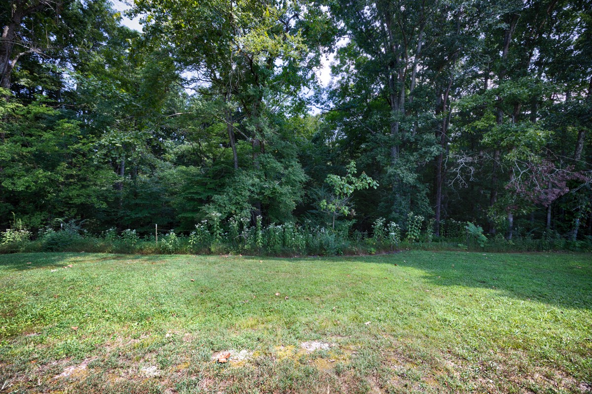 3202 Pleasant Ridge Road Goodspring, TN 38460 - Photo 32 of 48 Gallery Image 32