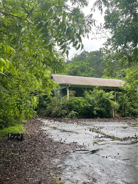 102 Park Road Southwest Rome, GA 30161 - Photo 1 of 1 a view of backyard with potted plants and large trees